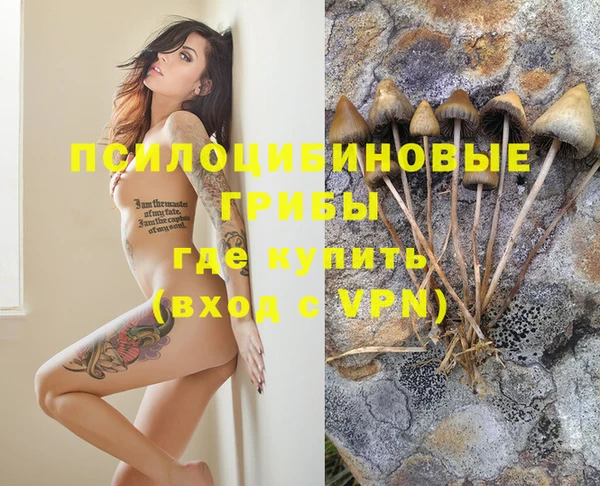 MESCALINE Белокуриха